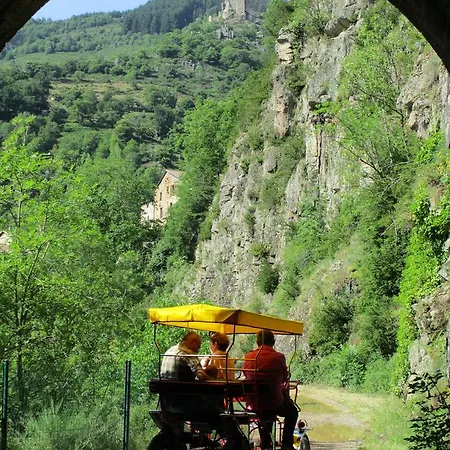 Camping Camping *